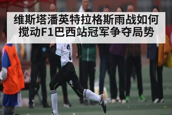 维斯塔潘英特拉格斯雨战如何搅动F1巴西站冠军争夺局势